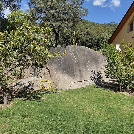 Casa Feliz Villa Sant Cebria de Vallalta Exterior photo